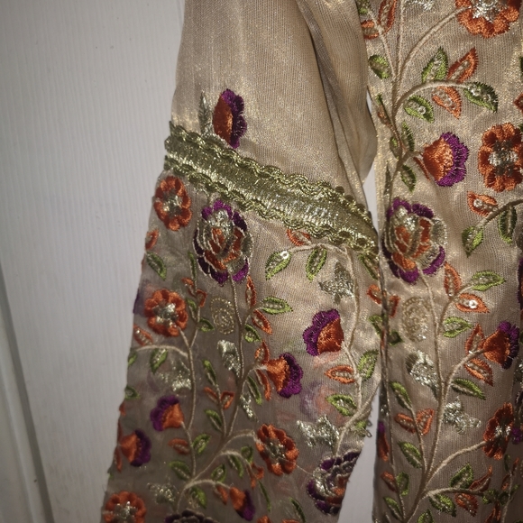 Pakistani Suit - Picture 9 of 11